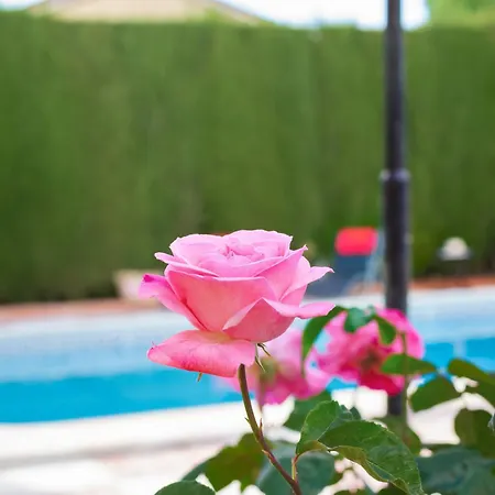 Granada Garden Deluxe